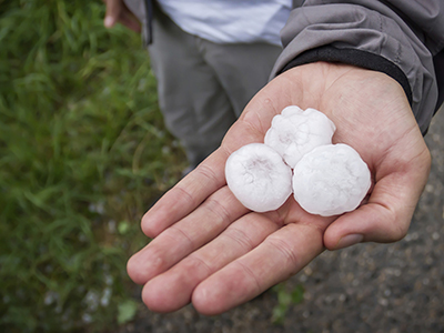 Seguros contra Granizo